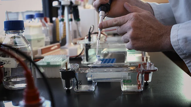 Interessepeiling IPCEI Biochemicaliën, Biomaterialen en meer